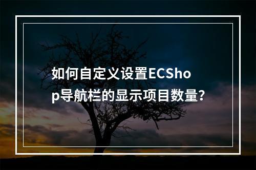 如何自定义设置ECShop导航栏的显示项目数量?