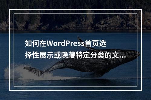 如何在WordPress首页选择性展示或隐藏特定分类的文章?