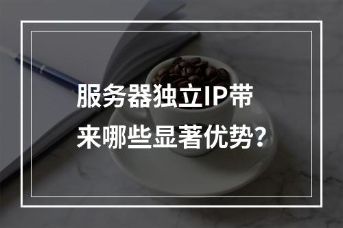 服务器独立IP带来哪些显著优势?