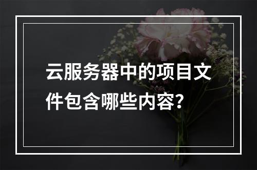 云服务器中的项目文件包含哪些内容?