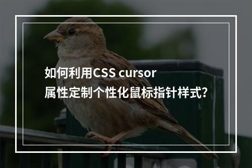 如何利用CSS cursor属性定制个性化鼠标指针样式?