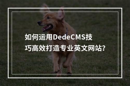 如何运用DedeCMS技巧高效打造专业英文网站?