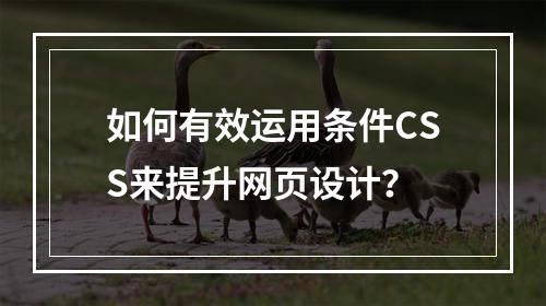 如何有效运用条件CSS来提升网页设计?