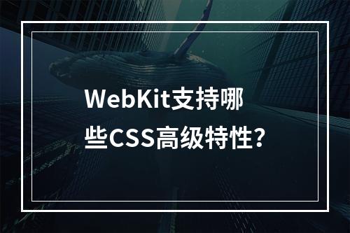 WebKit支持哪些CSS高级特性?