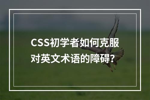 CSS初学者如何克服对英文术语的障碍?
