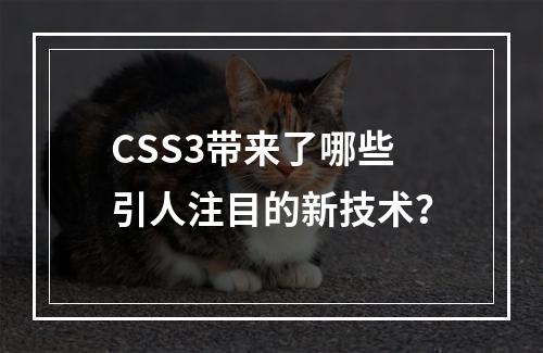 CSS3带来了哪些引人注目的新技术?