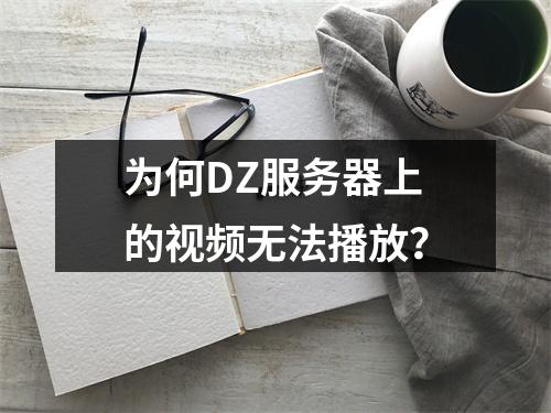 为何DZ服务器上的视频无法播放?