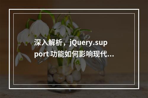深入解析,jQuery.support 功能如何影响现代网页开发?
