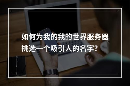如何为我的我的世界服务器挑选一个吸引人的名字?