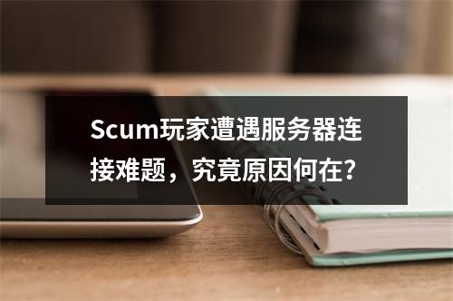 Scum玩家遭遇服务器连接难题,究竟原因何在?