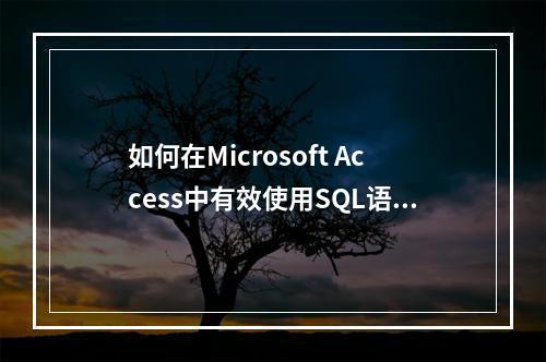 如何在Microsoft Access中有效使用SQL语句进行数据操作和管理?