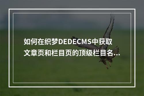 如何在织梦DEDECMS中获取文章页和栏目页的顶级栏目名称和链接?