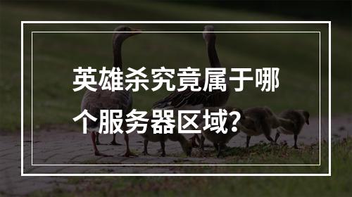 英雄杀究竟属于哪个服务器区域?
