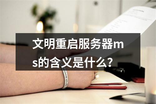 文明重启服务器ms的含义是什么?