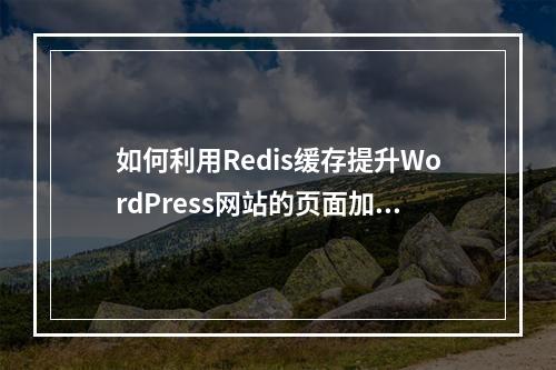 如何利用Redis缓存提升WordPress网站的页面加载速度?