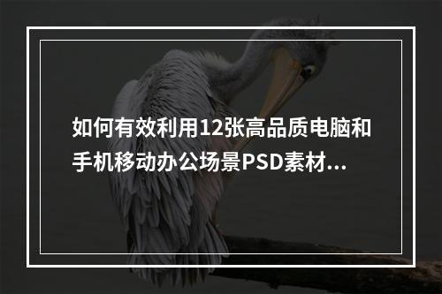如何有效利用12张高品质电脑和手机移动办公场景PSD素材提升工作效率?