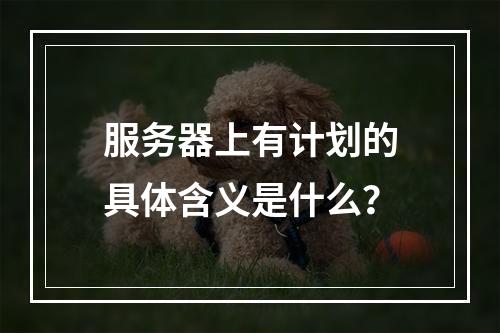 服务器上有计划的具体含义是什么?