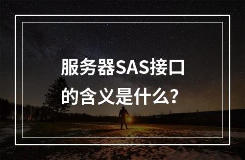 服务器SAS接口的含义是什么?