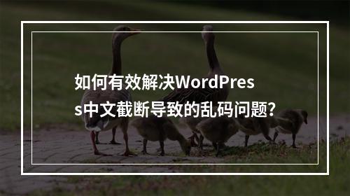 如何有效解决WordPress中文截断导致的乱码问题?