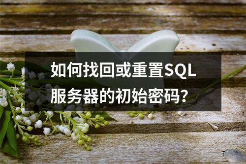 如何找回或重置SQL服务器的初始密码?