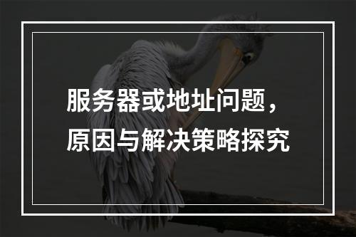 服务器或地址问题,原因与解决策略探究