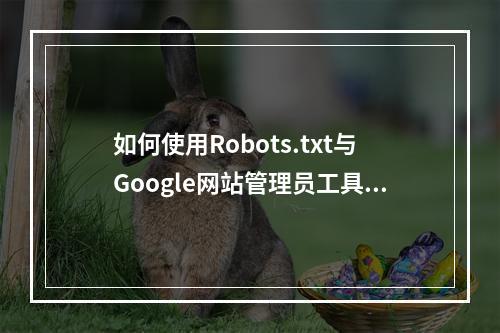 如何使用Robots.txt与Google网站管理员工具来限制网页收录?