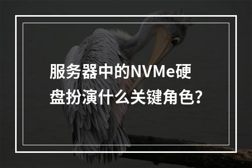 服务器中的NVMe硬盘扮演什么关键角色?