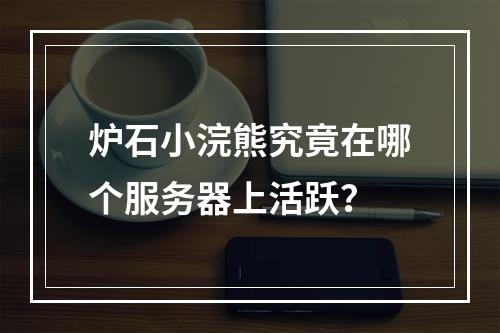 炉石小浣熊究竟在哪个服务器上活跃?