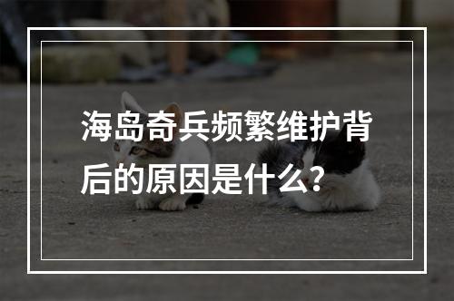 海岛奇兵频繁维护背后的原因是什么?