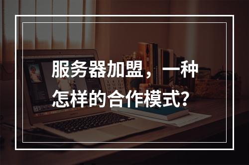 服务器加盟,一种怎样的合作模式?
