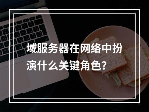 域服务器在网络中扮演什么关键角色?