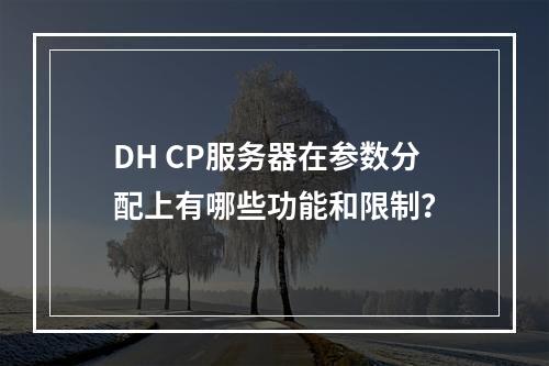 DH CP服务器在参数分配上有哪些功能和限制?
