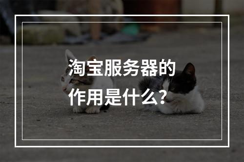 淘宝服务器的作用是什么?