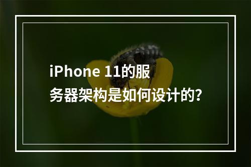 iPhone 11的服务器架构是如何设计的?