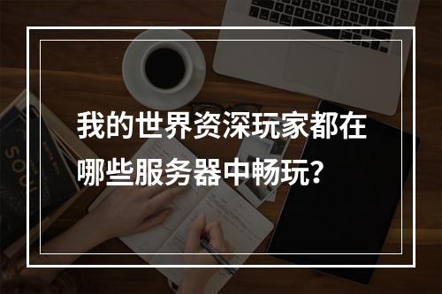 我的世界资深玩家都在哪些服务器中畅玩?
