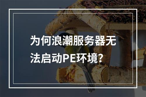 为何浪潮服务器无法启动PE环境?
