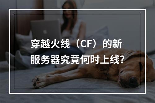 穿越火线(CF)的新服务器究竟何时上线?