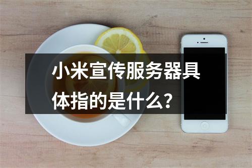 小米宣传服务器具体指的是什么?