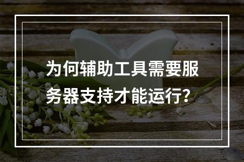 为何辅助工具需要服务器支持才能运行?