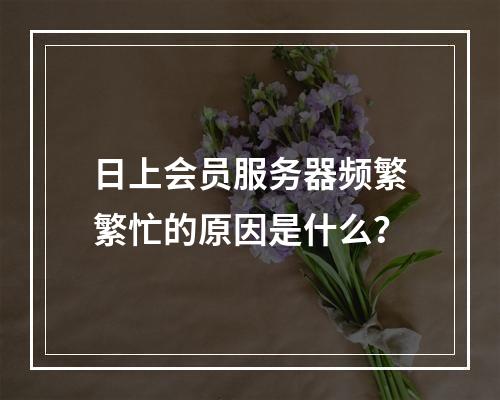 日上会员服务器频繁繁忙的原因是什么?