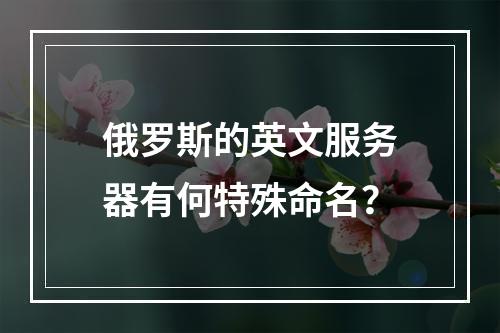 俄罗斯的英文服务器有何特殊命名?