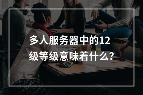 多人服务器中的12级等级意味着什么?