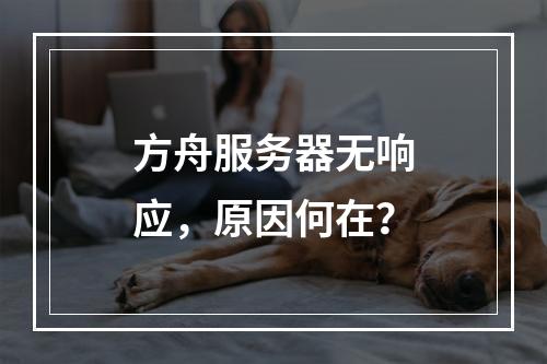 方舟服务器无响应,原因何在?
