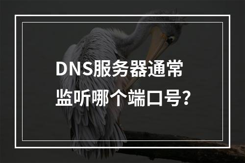 DNS服务器通常监听哪个端口号?