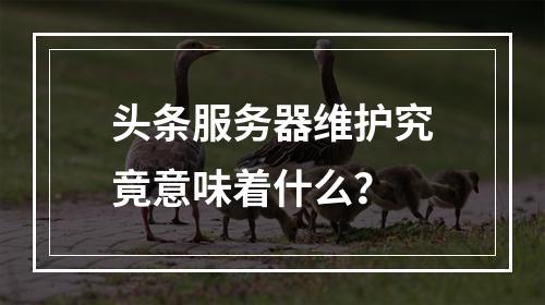 头条服务器维护究竟意味着什么?