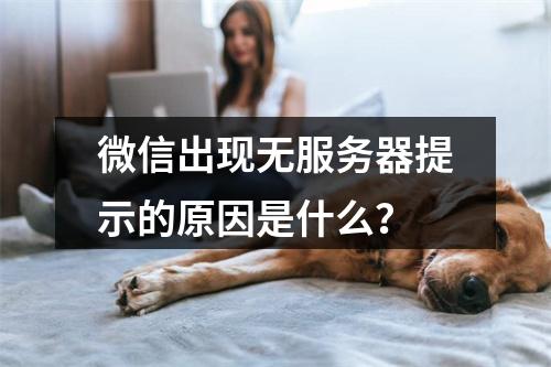 微信出现无服务器提示的原因是什么?