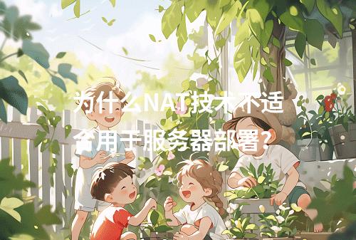 为什么NAT技术不适合用于服务器部署?