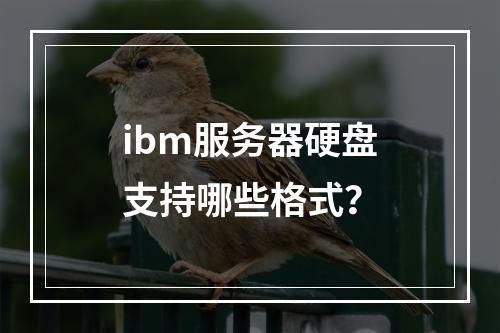 ibm服务器硬盘支持哪些格式?