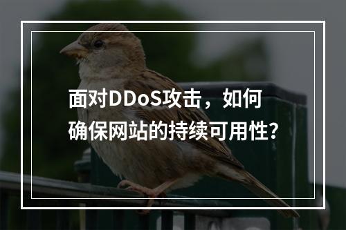 面对DDoS攻击,如何确保网站的持续可用性?