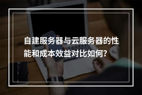 自建服务器与云服务器的性能和成本效益对比如何?